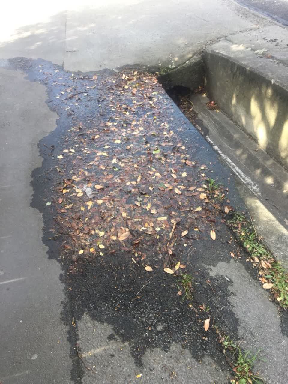 The photograph attached to this water supply report