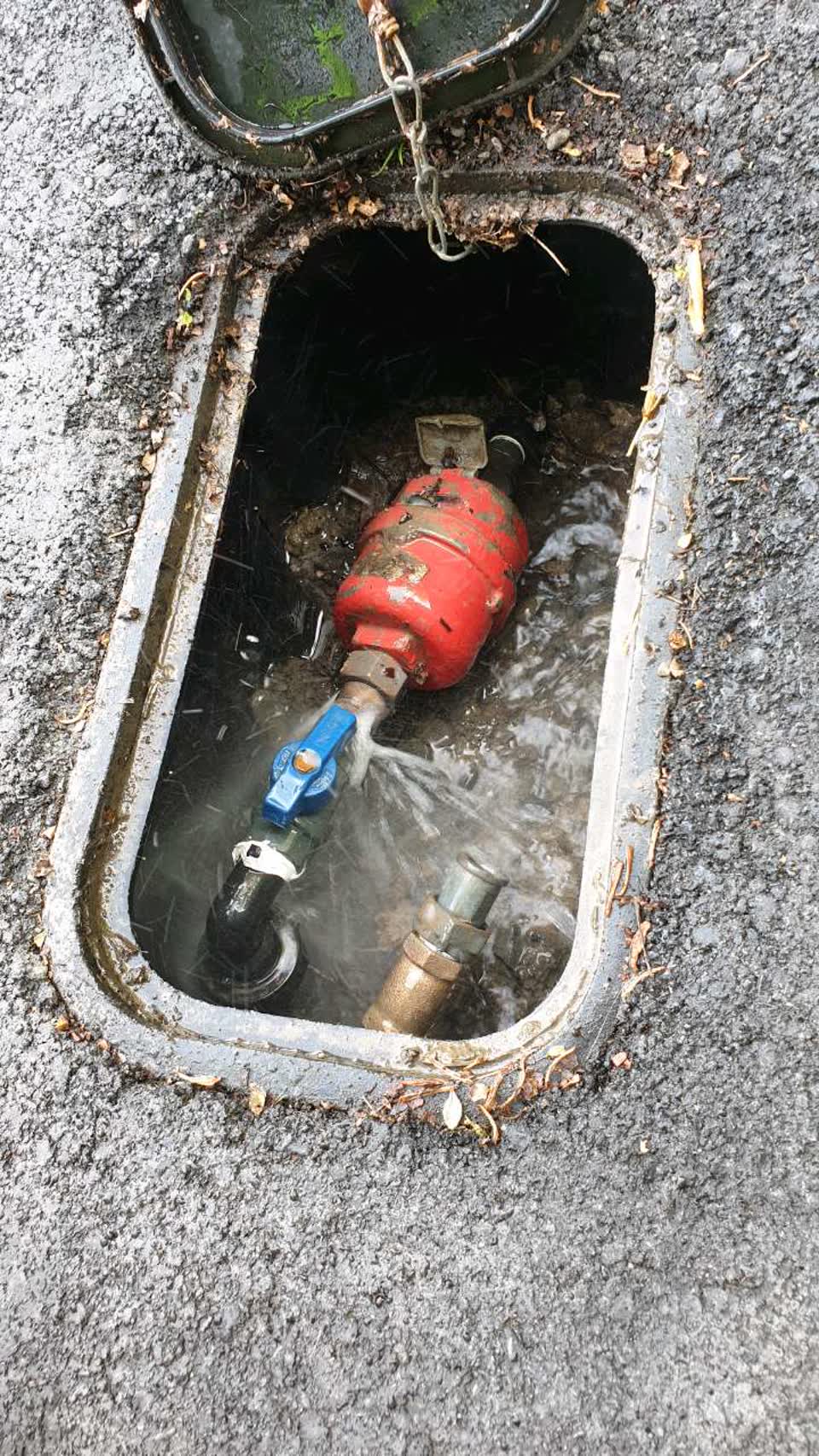 The photograph attached to this water supply report