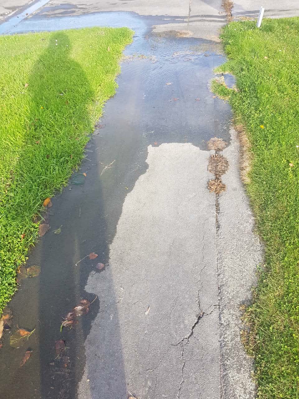 The photograph attached to this water supply report