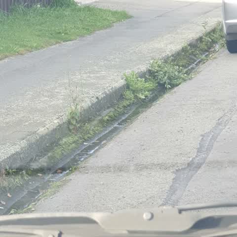 Roading/Streets, a report photo