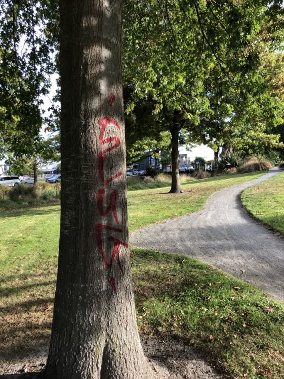 The photograph attached to this graffiti report