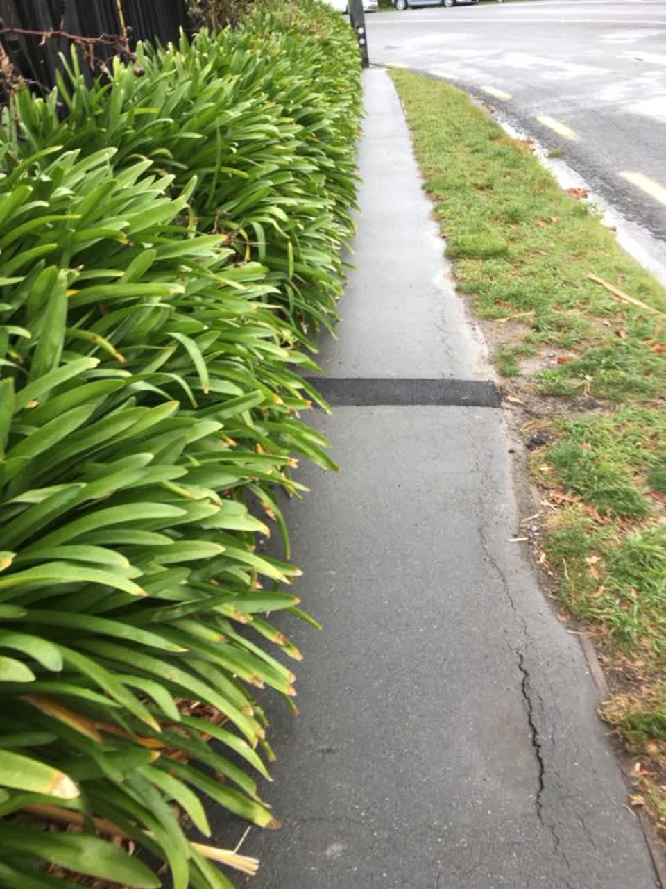 The photograph attached to this roading/streets report