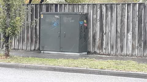 Graffiti, a report photo