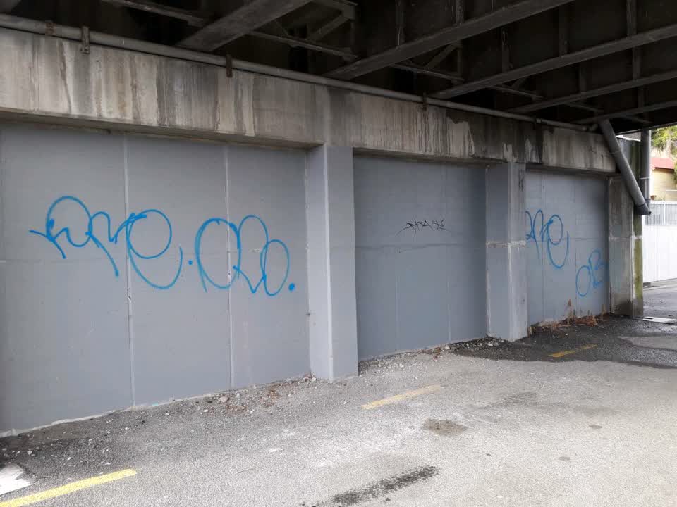The photograph attached to this graffiti report