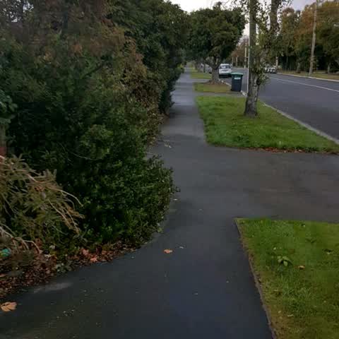 Roading/Streets, a report photo