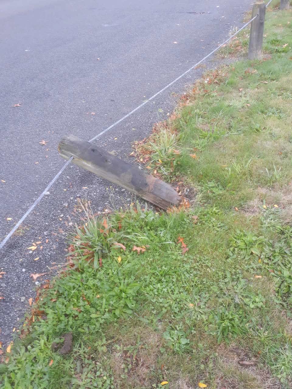 The photograph attached to this parks report