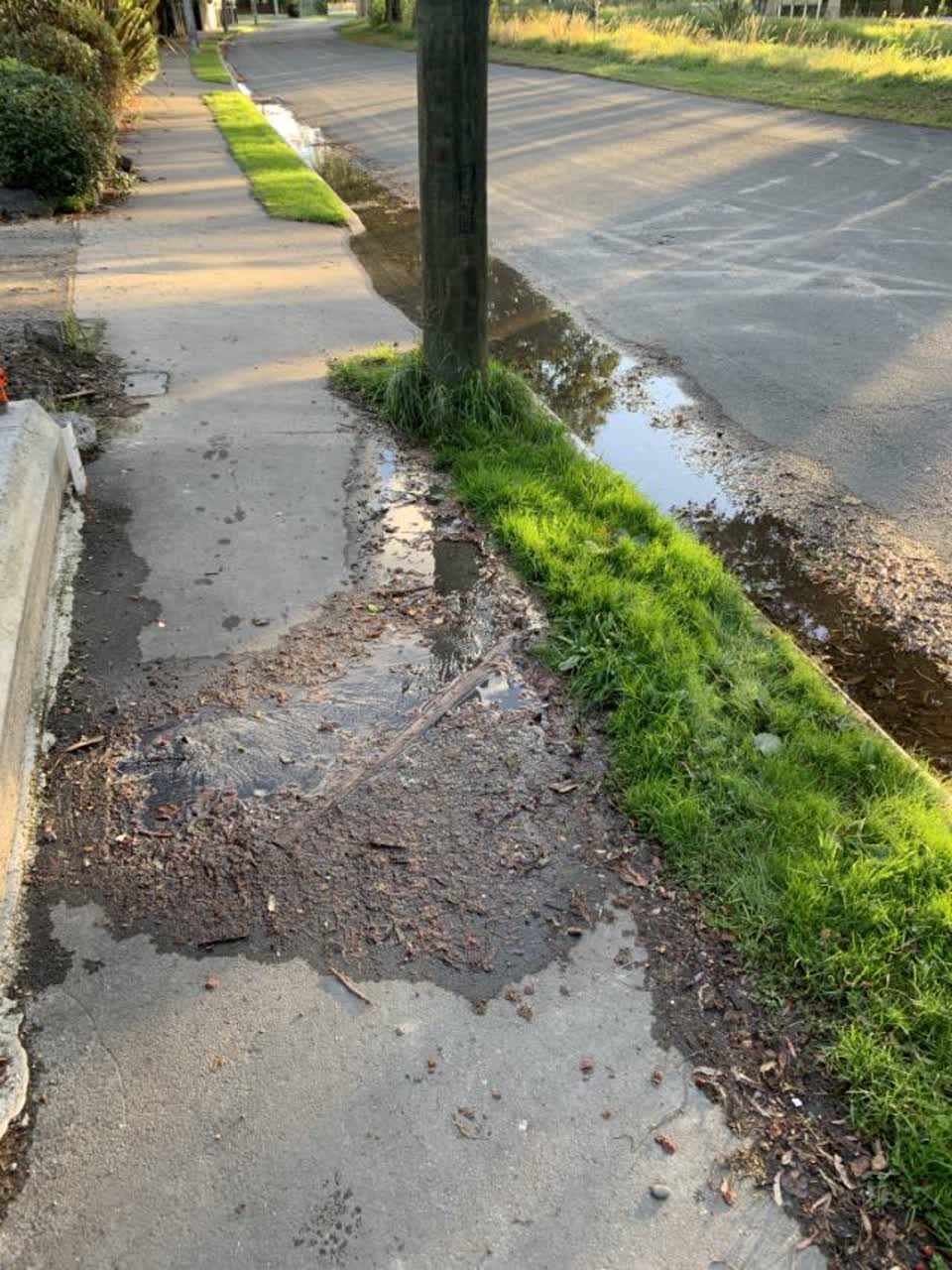 The photograph attached to this water supply report