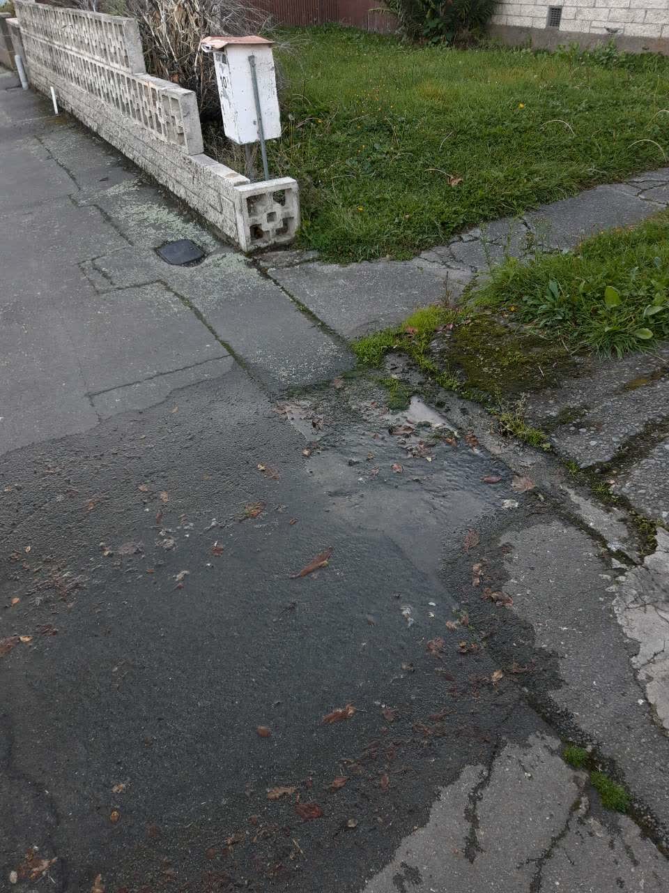 The photograph attached to this water supply report