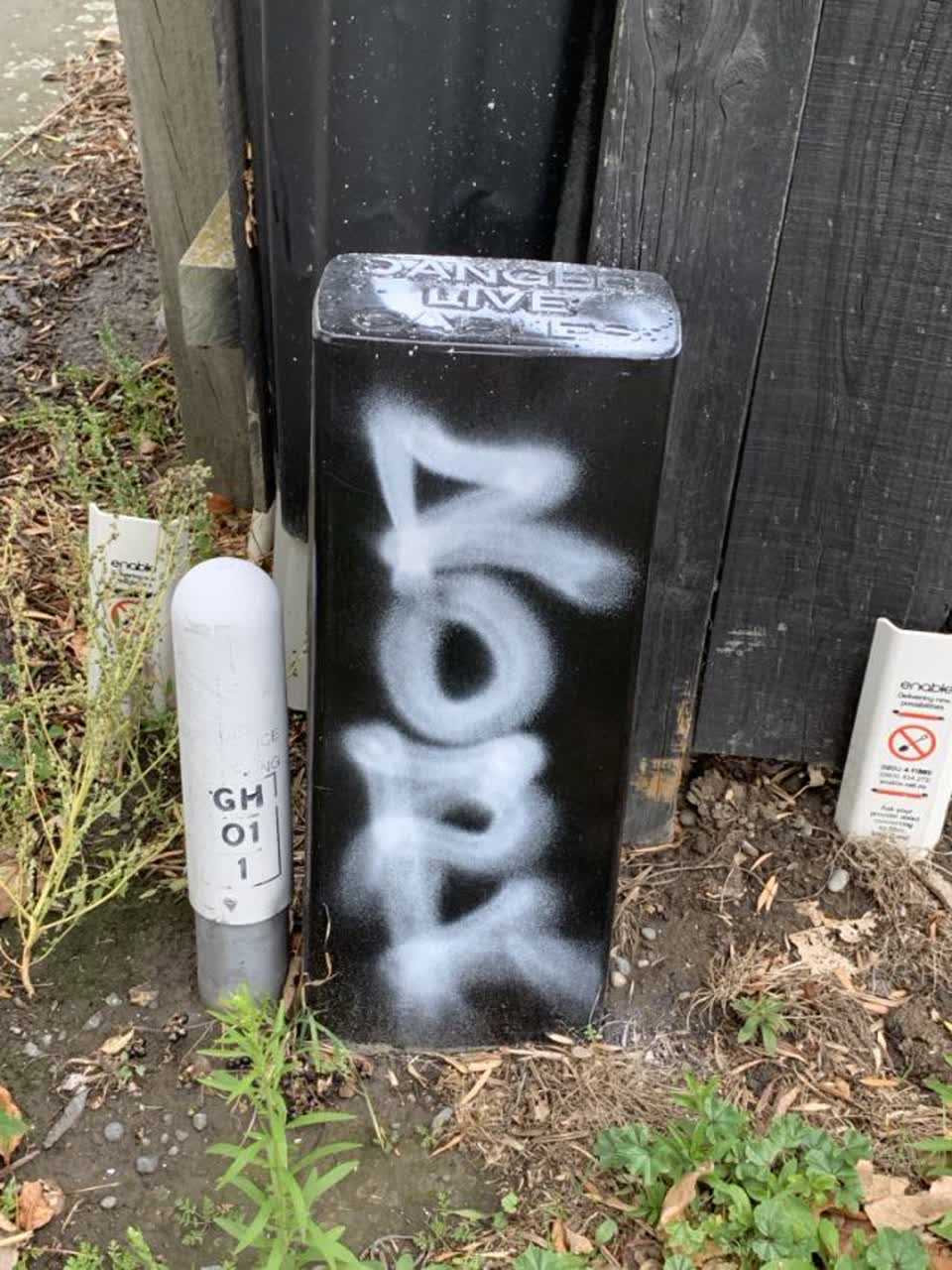The photograph attached to this graffiti report