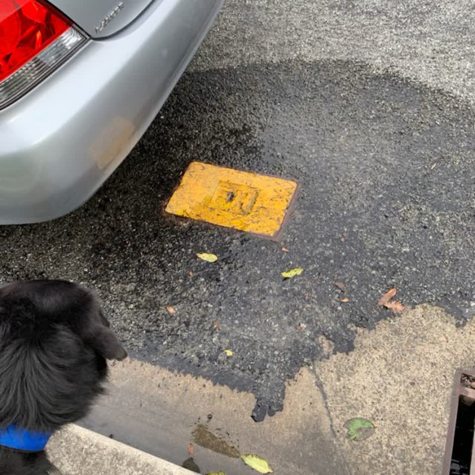 The photograph attached to this water supply report