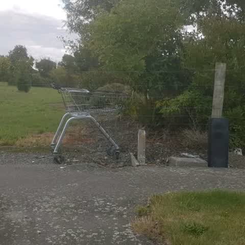 Rubbish/Recycling, a report photo