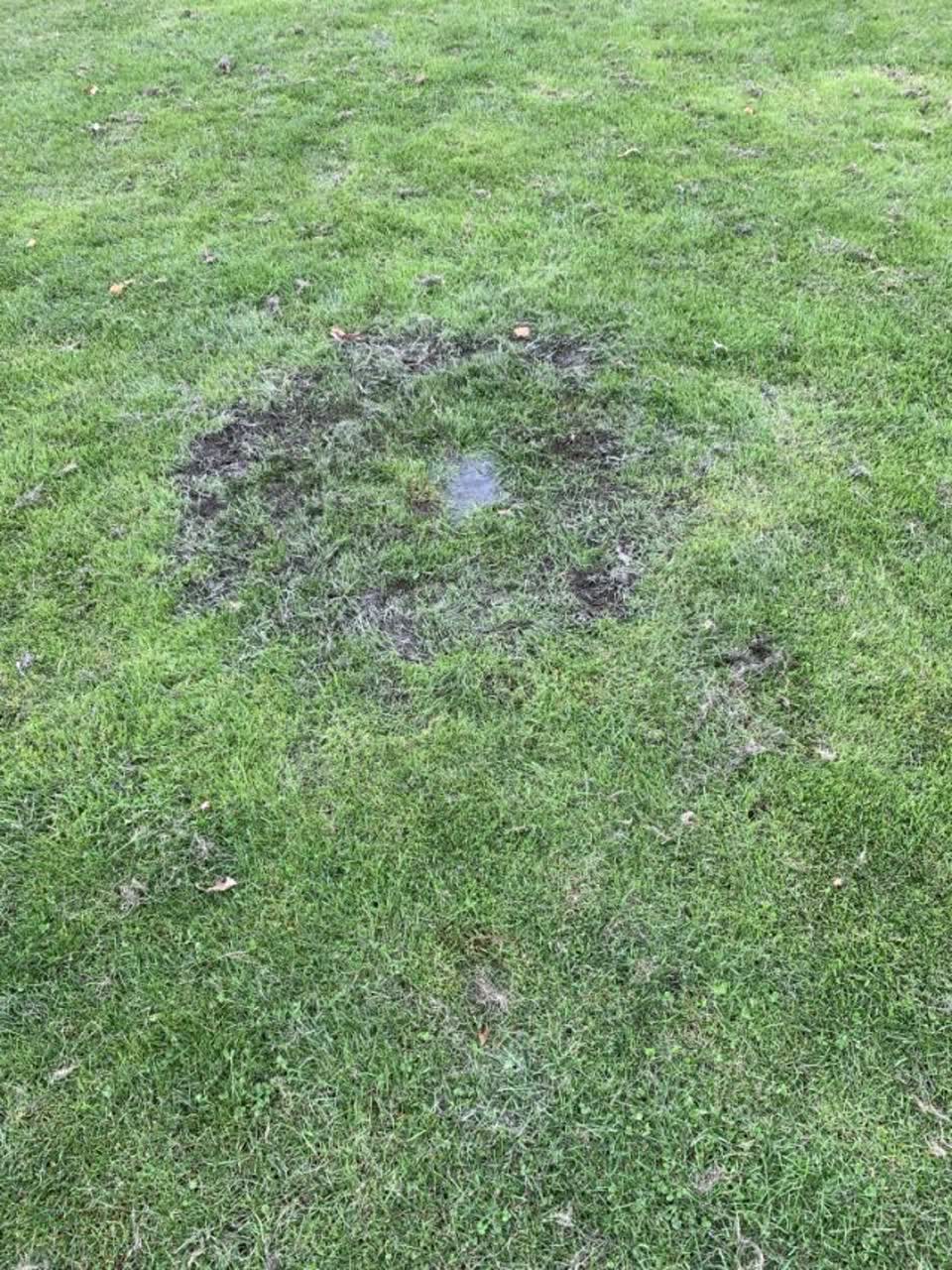 The photograph attached to this parks report