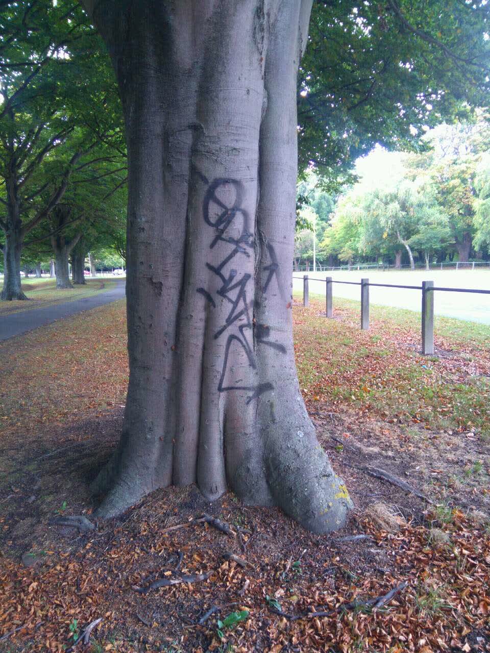 The photograph attached to this graffiti report