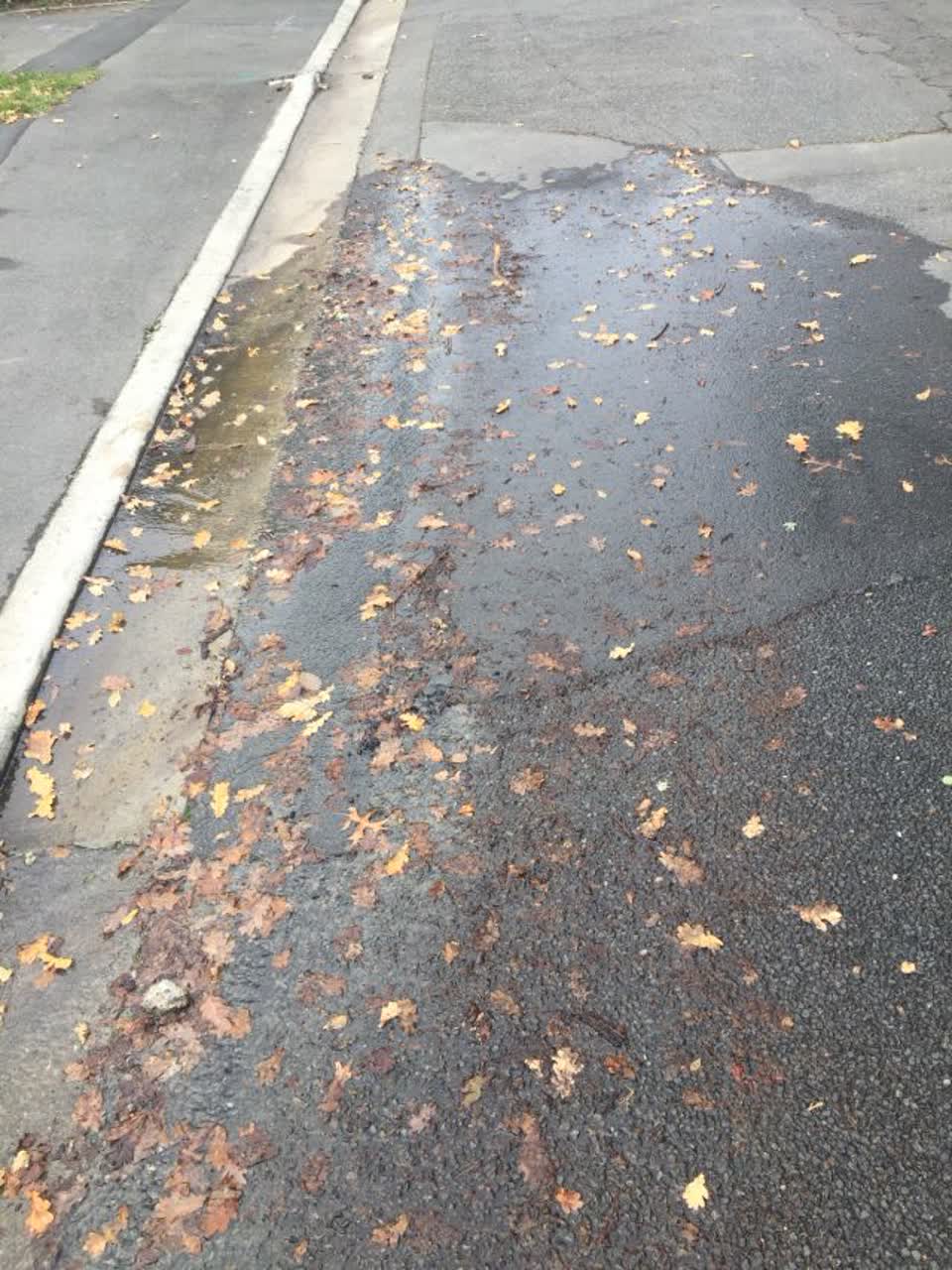 The photograph attached to this water supply report