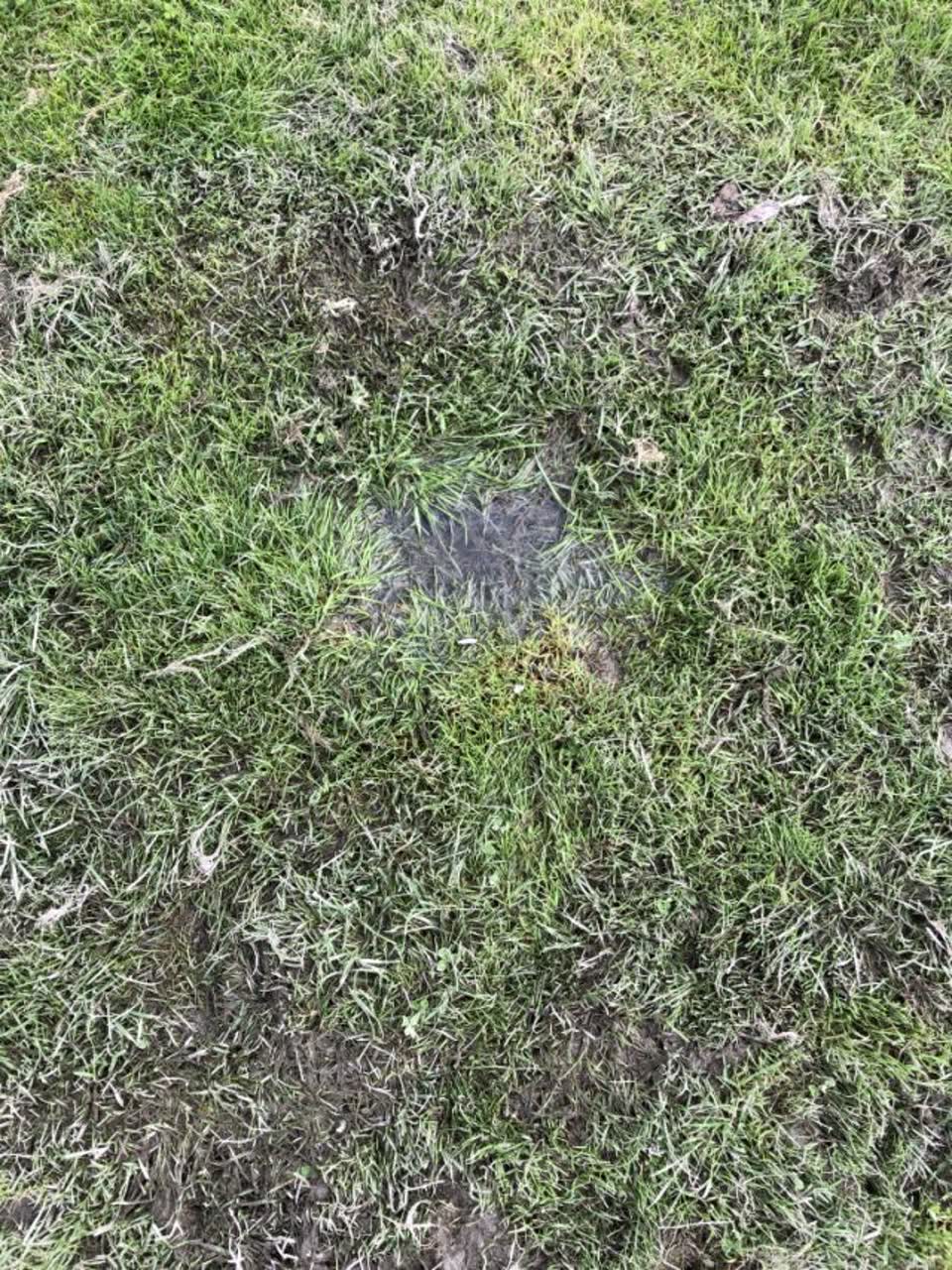 The photograph attached to this parks report