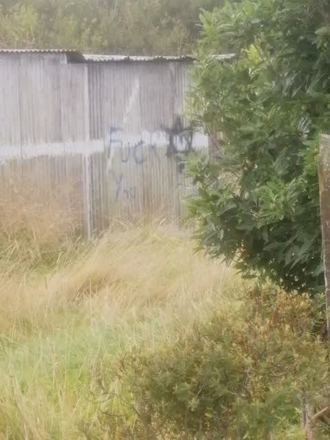 Graffiti, a report photo