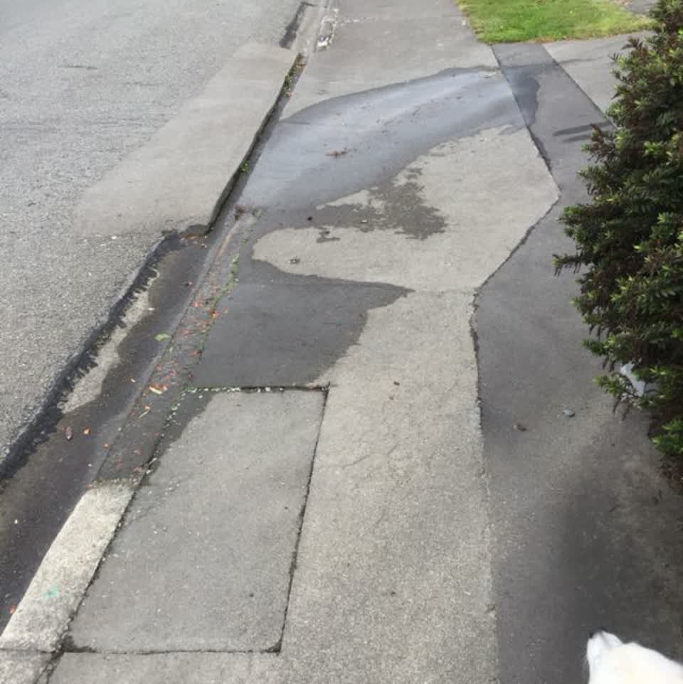 The photograph attached to this water supply report