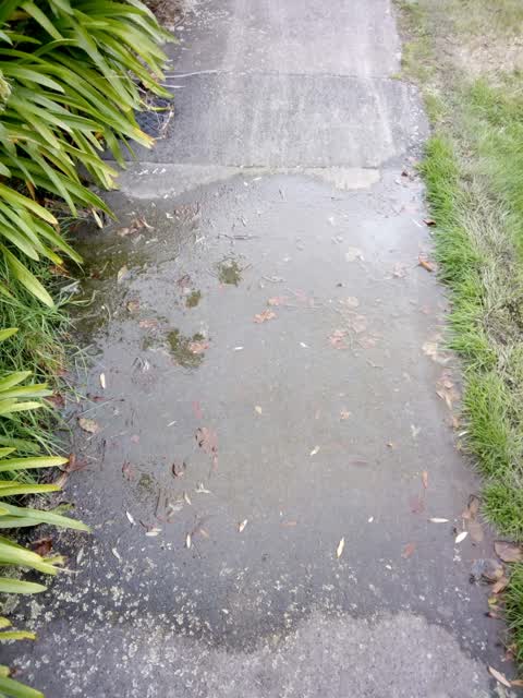Water Supply, a report photo