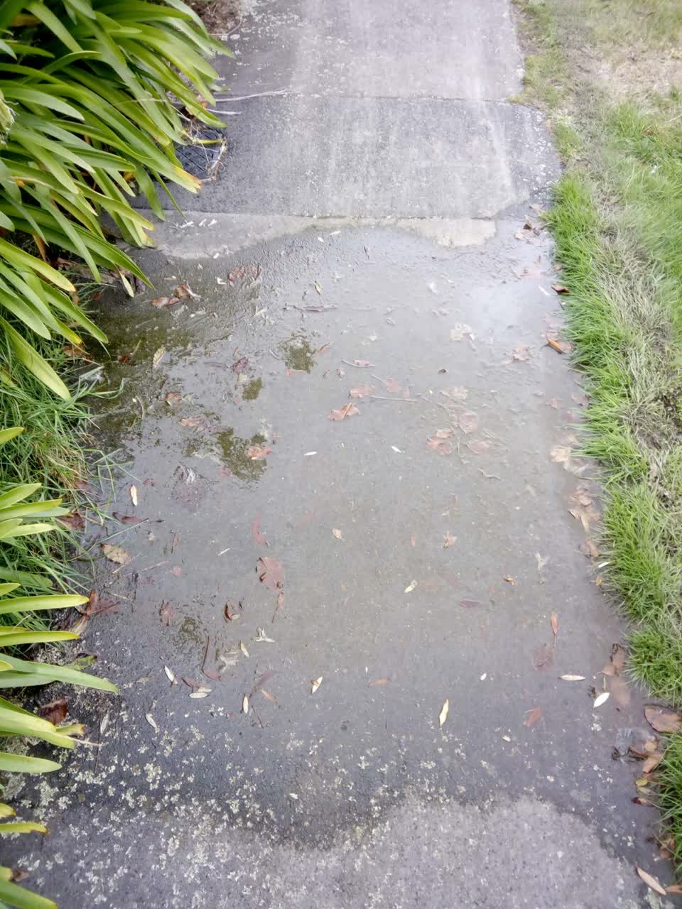 The photograph attached to this water supply report