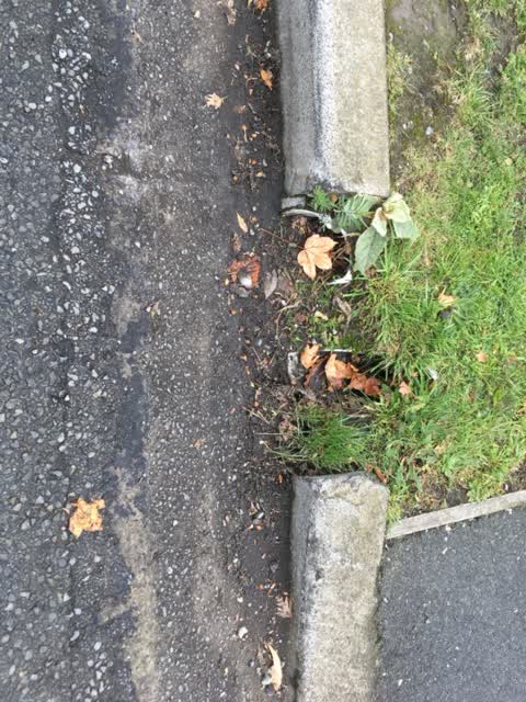 Roading/Streets, a report photo