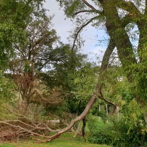 Parks — a report photo