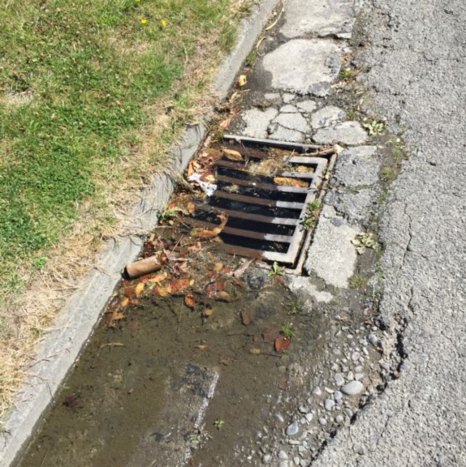 The photograph attached to this wastewater/stormwater report