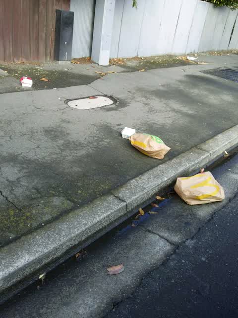 Rubbish/Recycling, a report photo