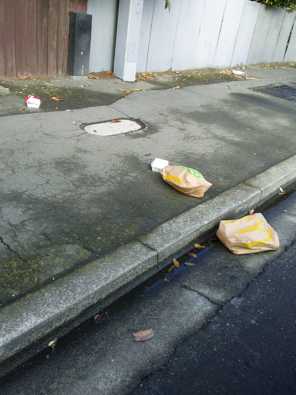 The photograph attached to this rubbish/recycling report