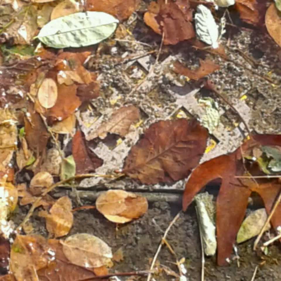 The photograph attached to this water supply report