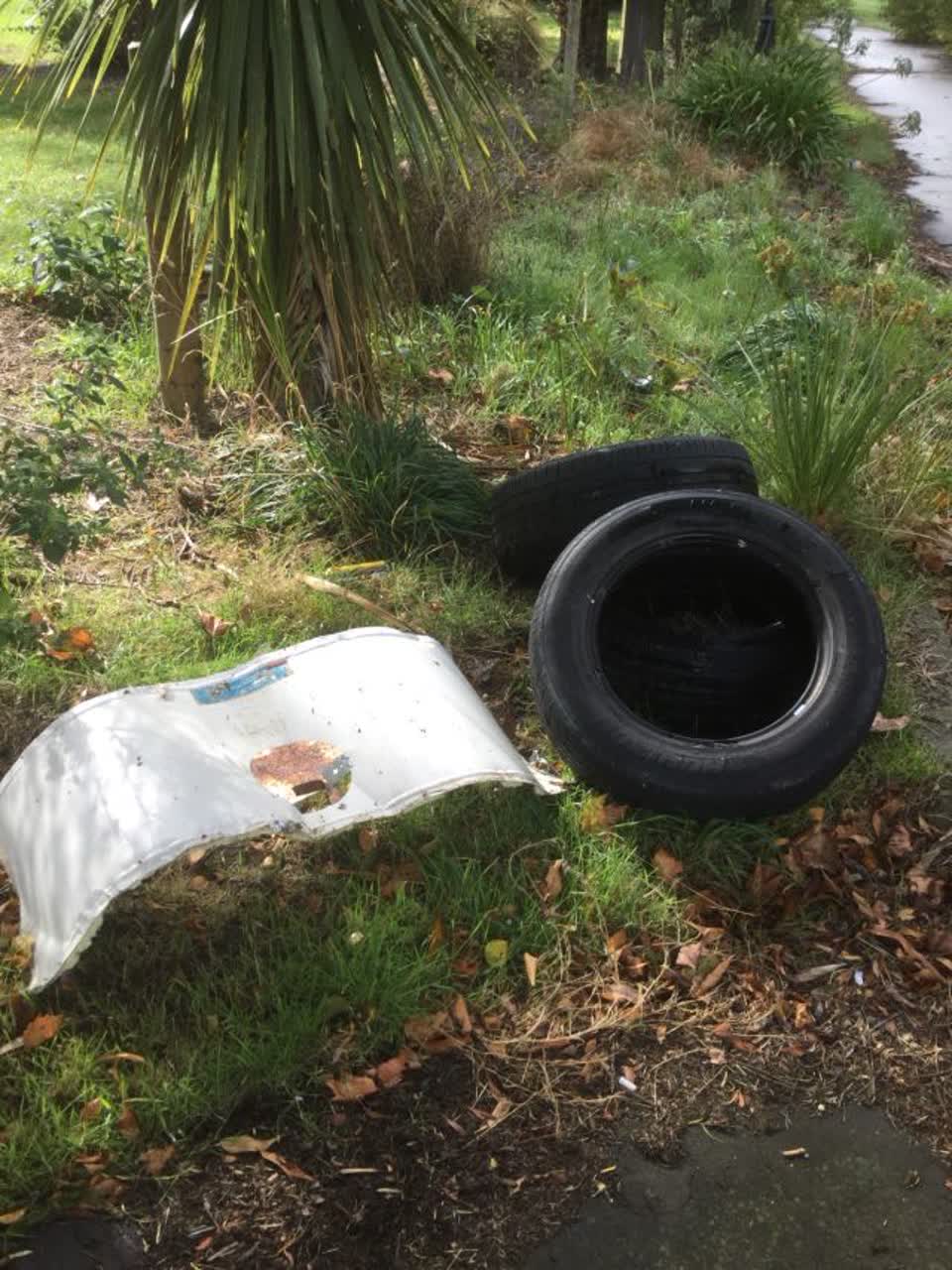 The photograph attached to this rubbish/recycling report