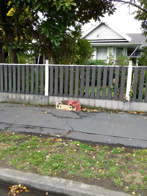 Rubbish/Recycling, a report photo