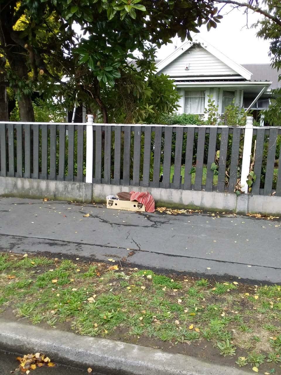 The photograph attached to this rubbish/recycling report