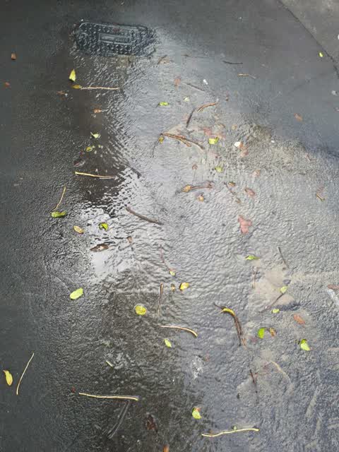 Water Supply, a report photo