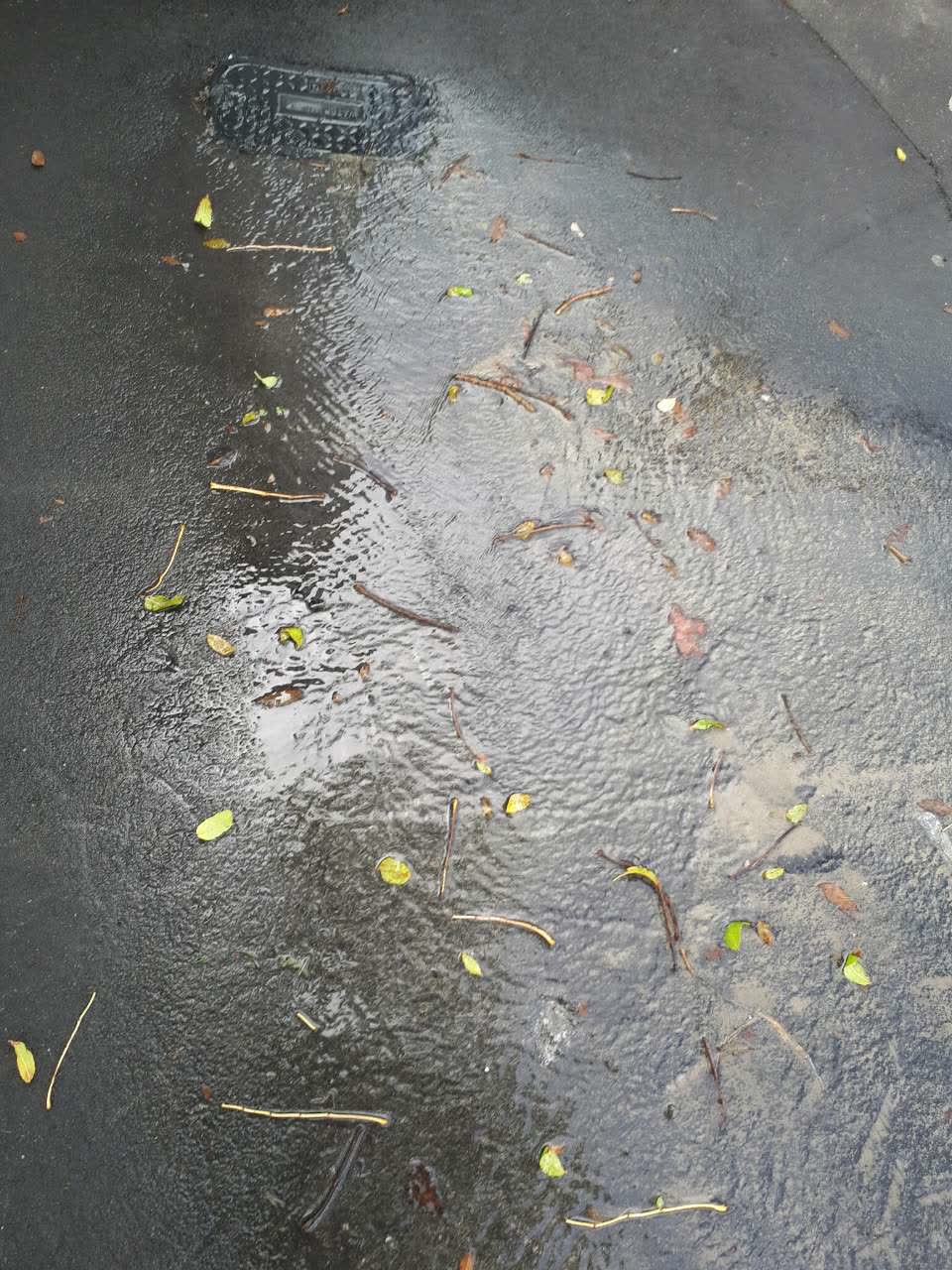 The photograph attached to this water supply report