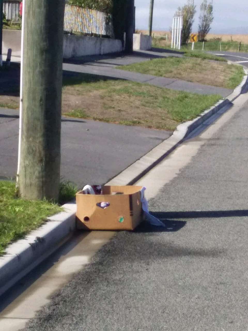 The photograph attached to this rubbish/recycling report