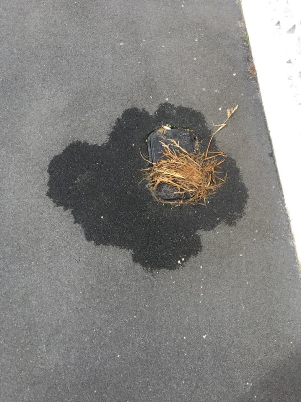 The photograph attached to this water supply report