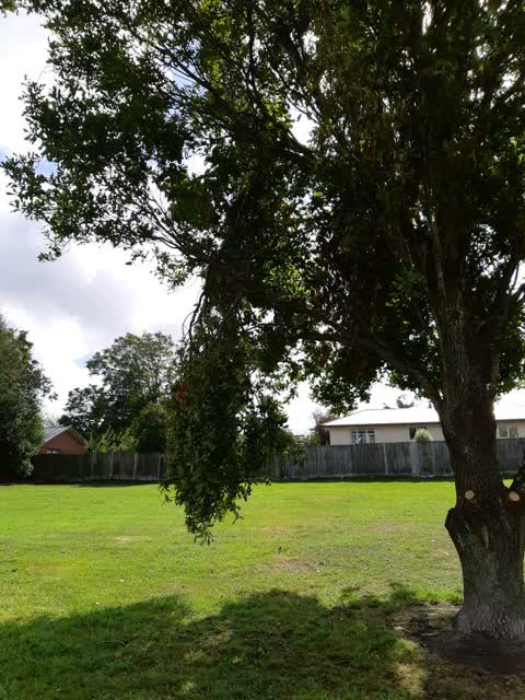Parks, a report photo