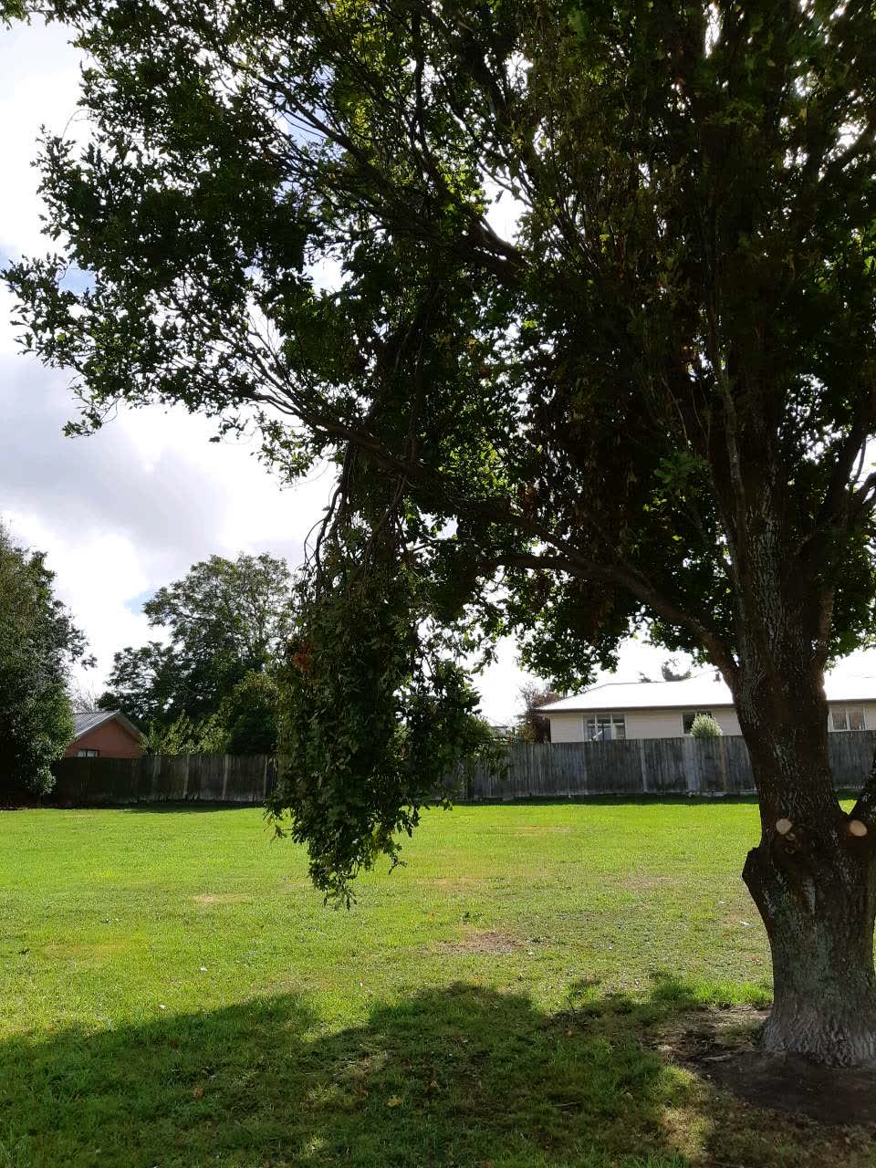The photograph attached to this parks report