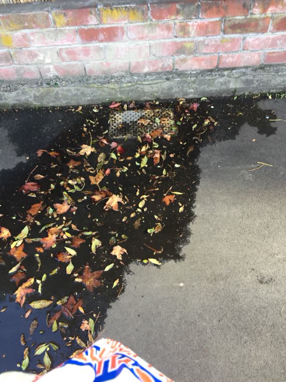 The photograph attached to this water supply report