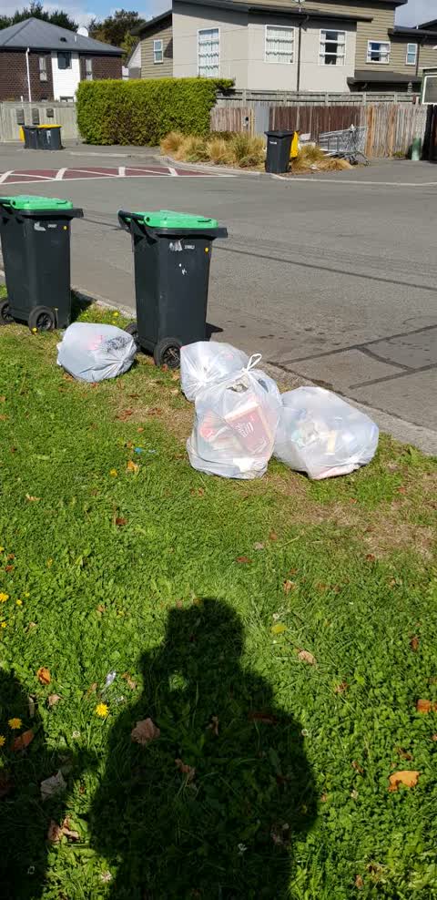 Rubbish/Recycling, a report photo