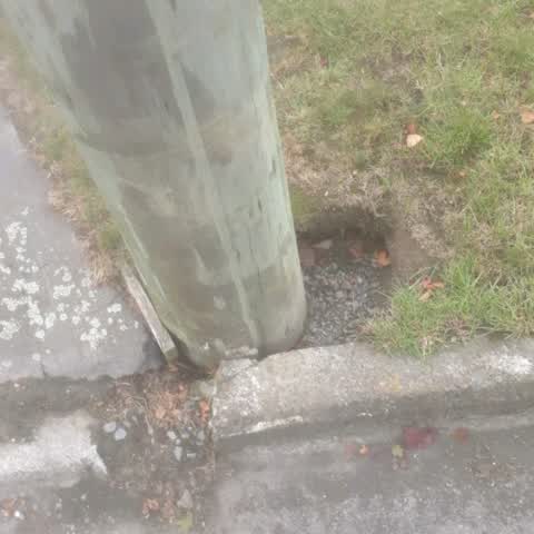 Roading/Streets, a report photo