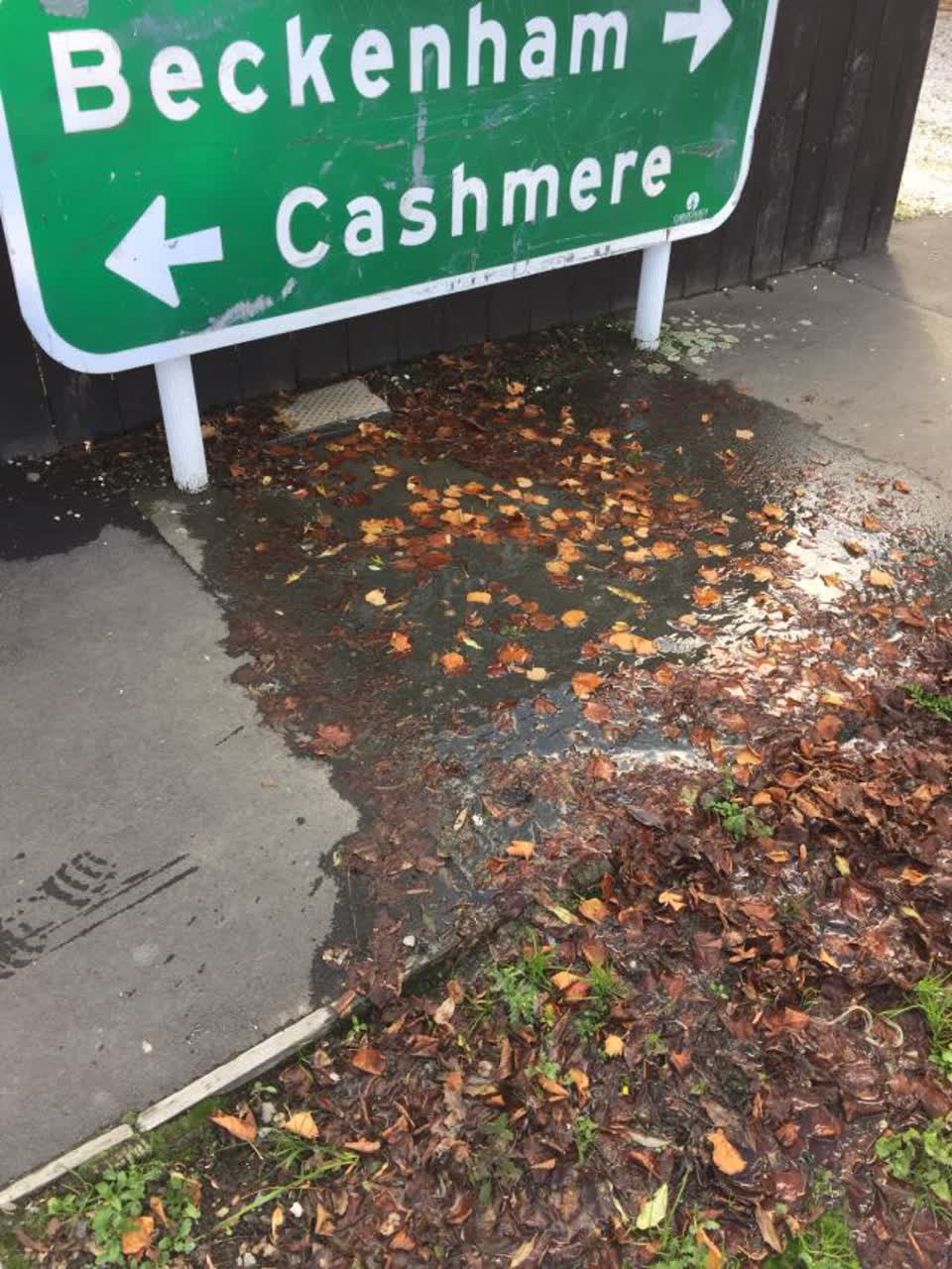 The photograph attached to this water supply report