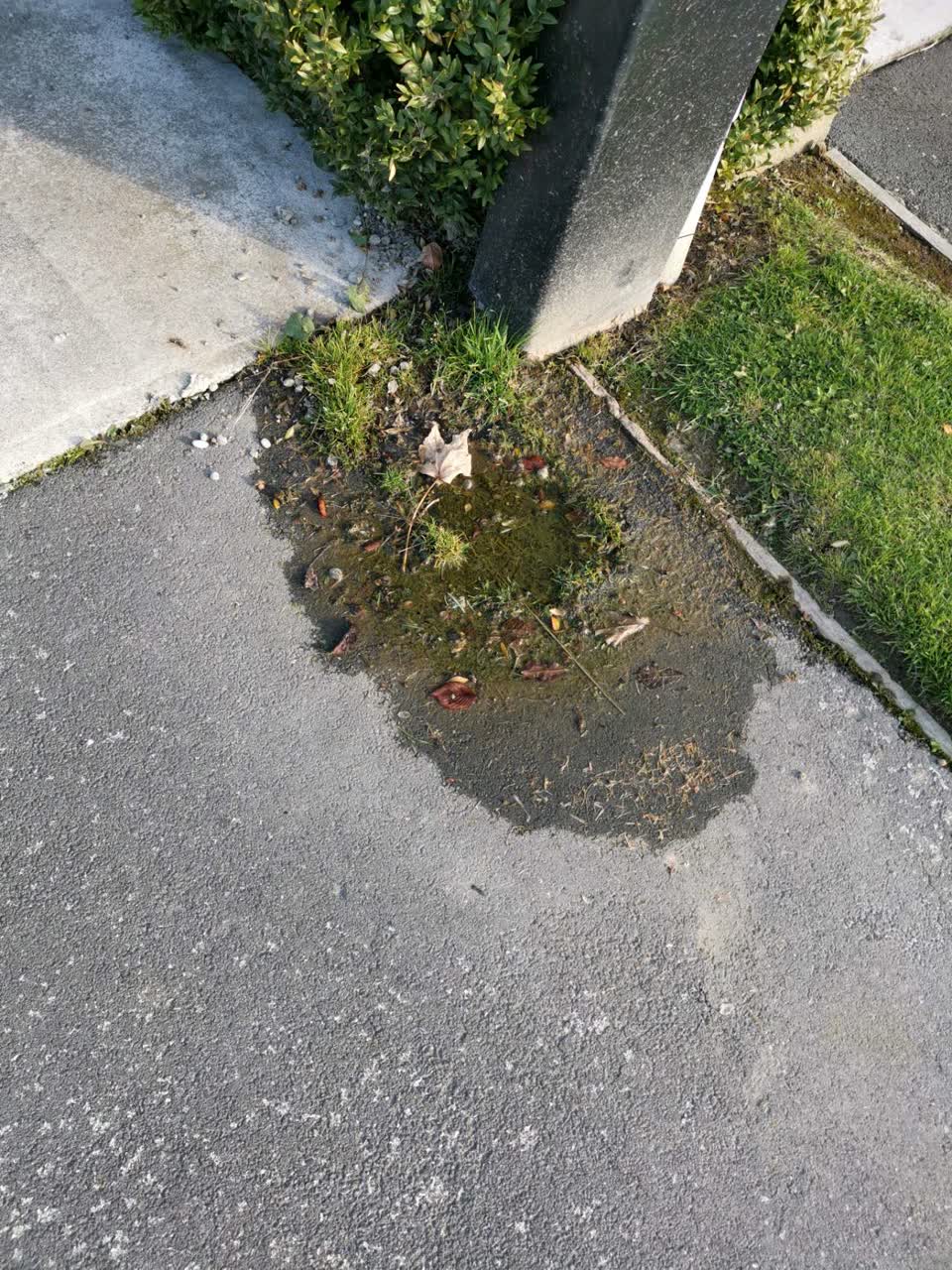 The photograph attached to this water supply report