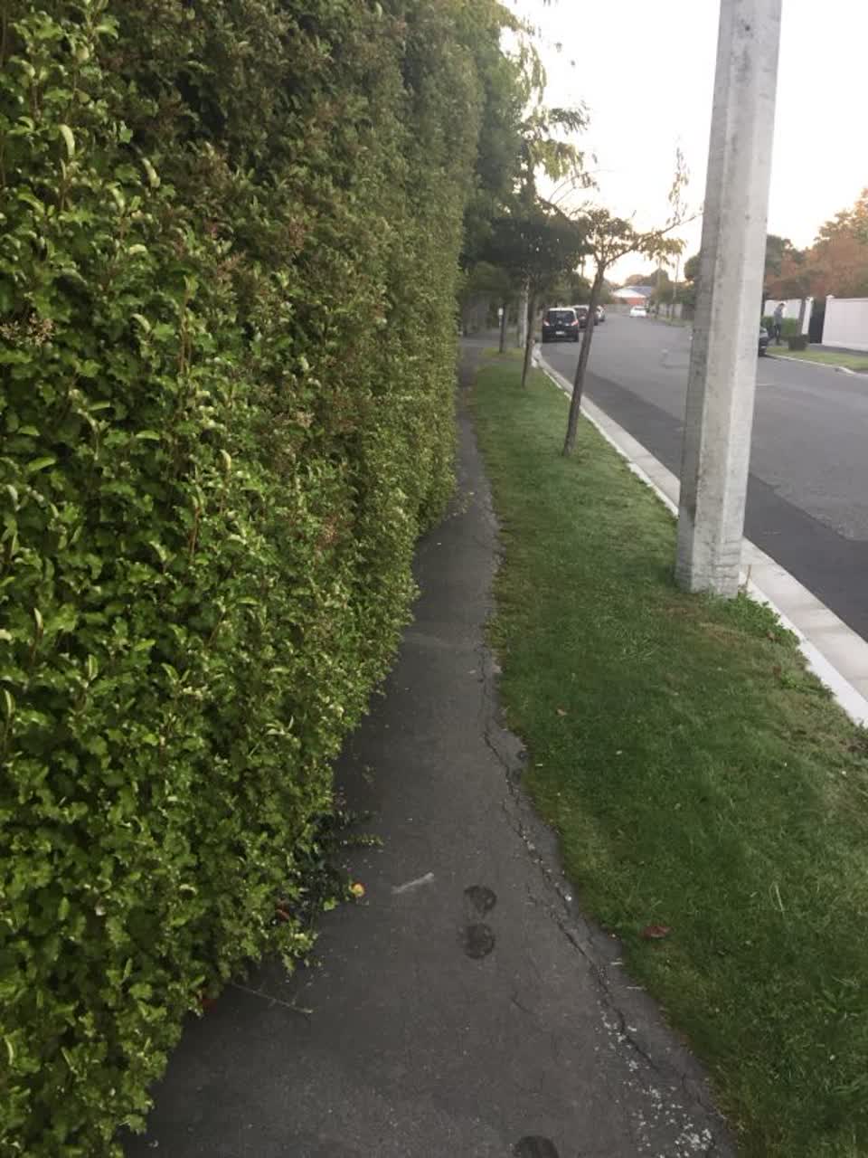 The photograph attached to this roading/streets report
