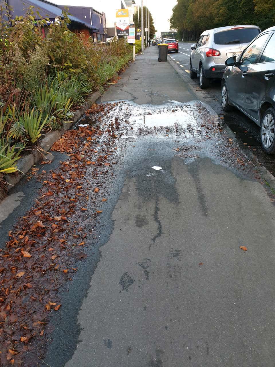 The photograph attached to this flooding report