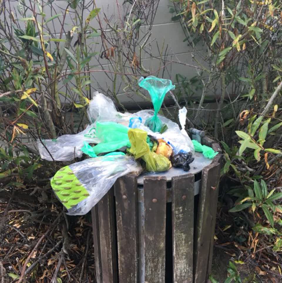 The photograph attached to this rubbish/recycling report