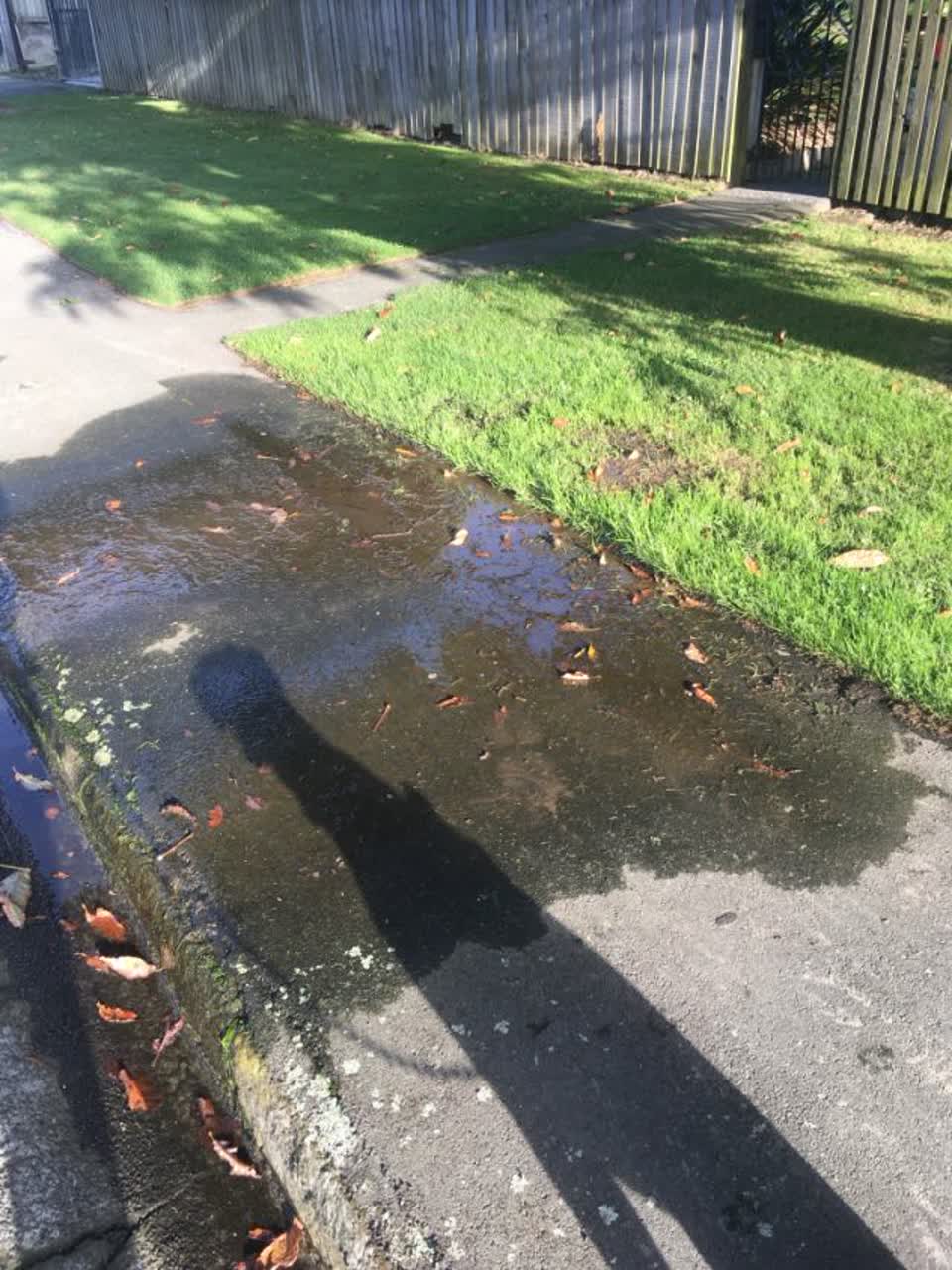 The photograph attached to this flooding report