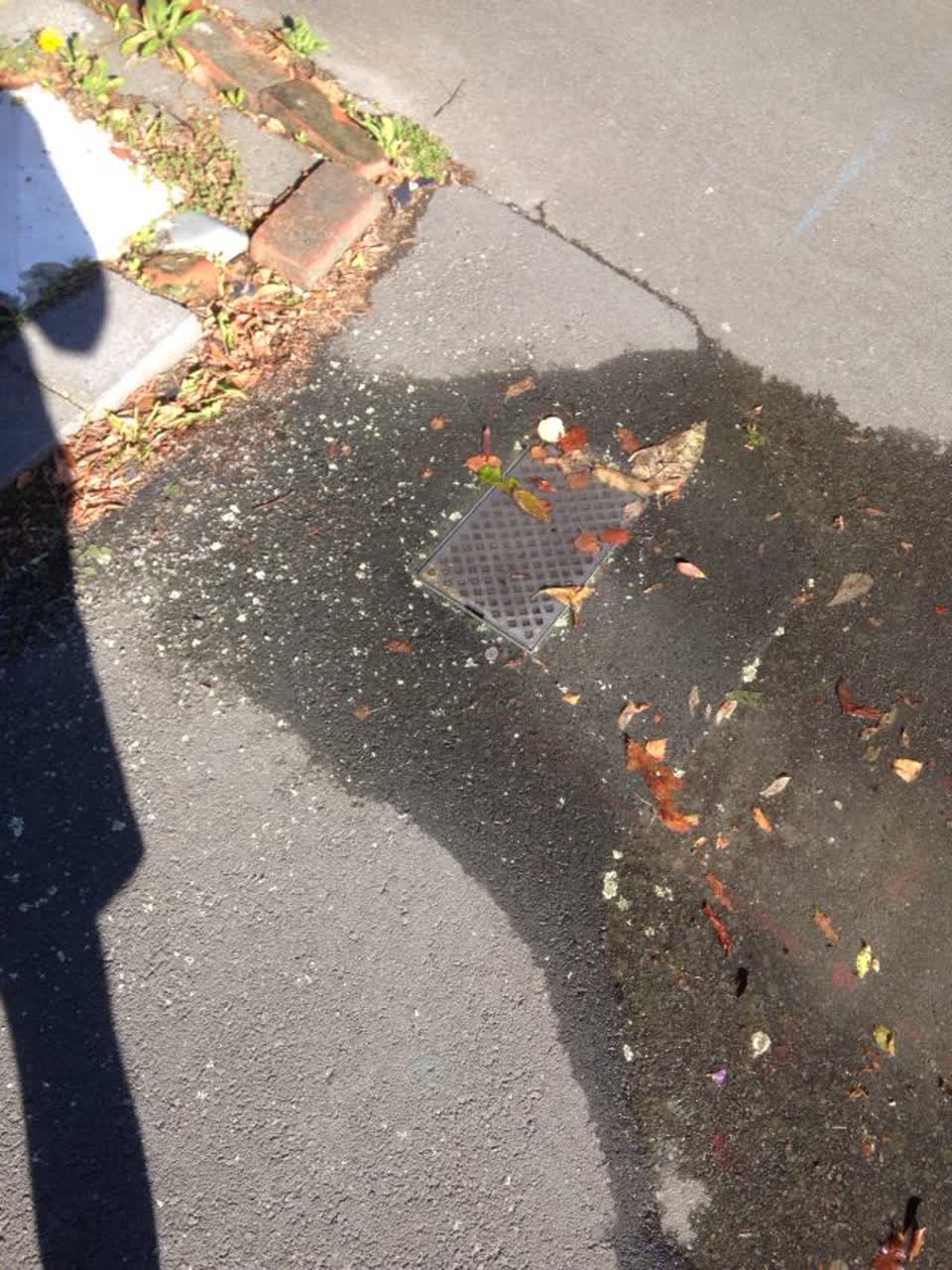 The photograph attached to this water supply report