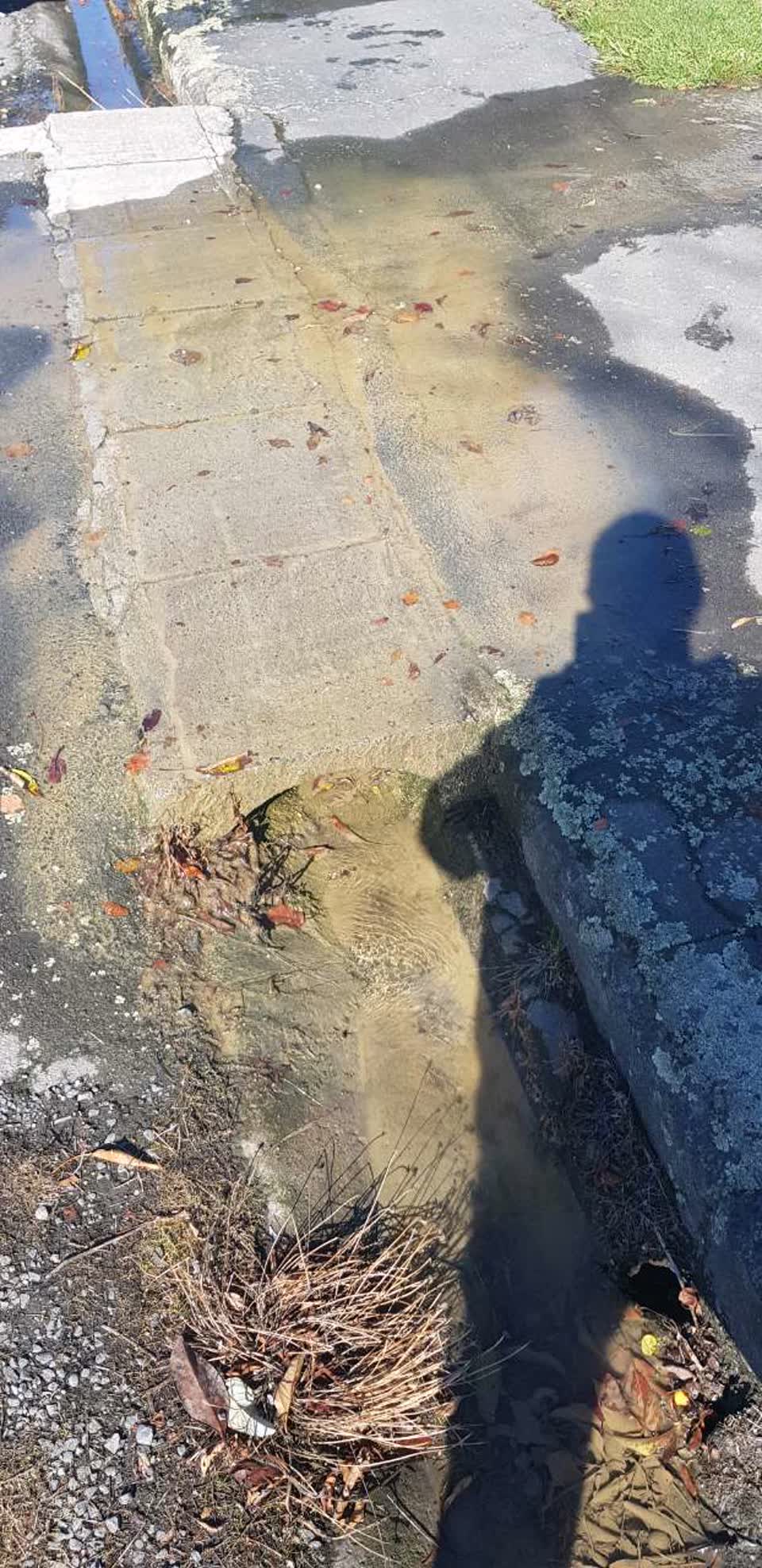 The photograph attached to this water supply report