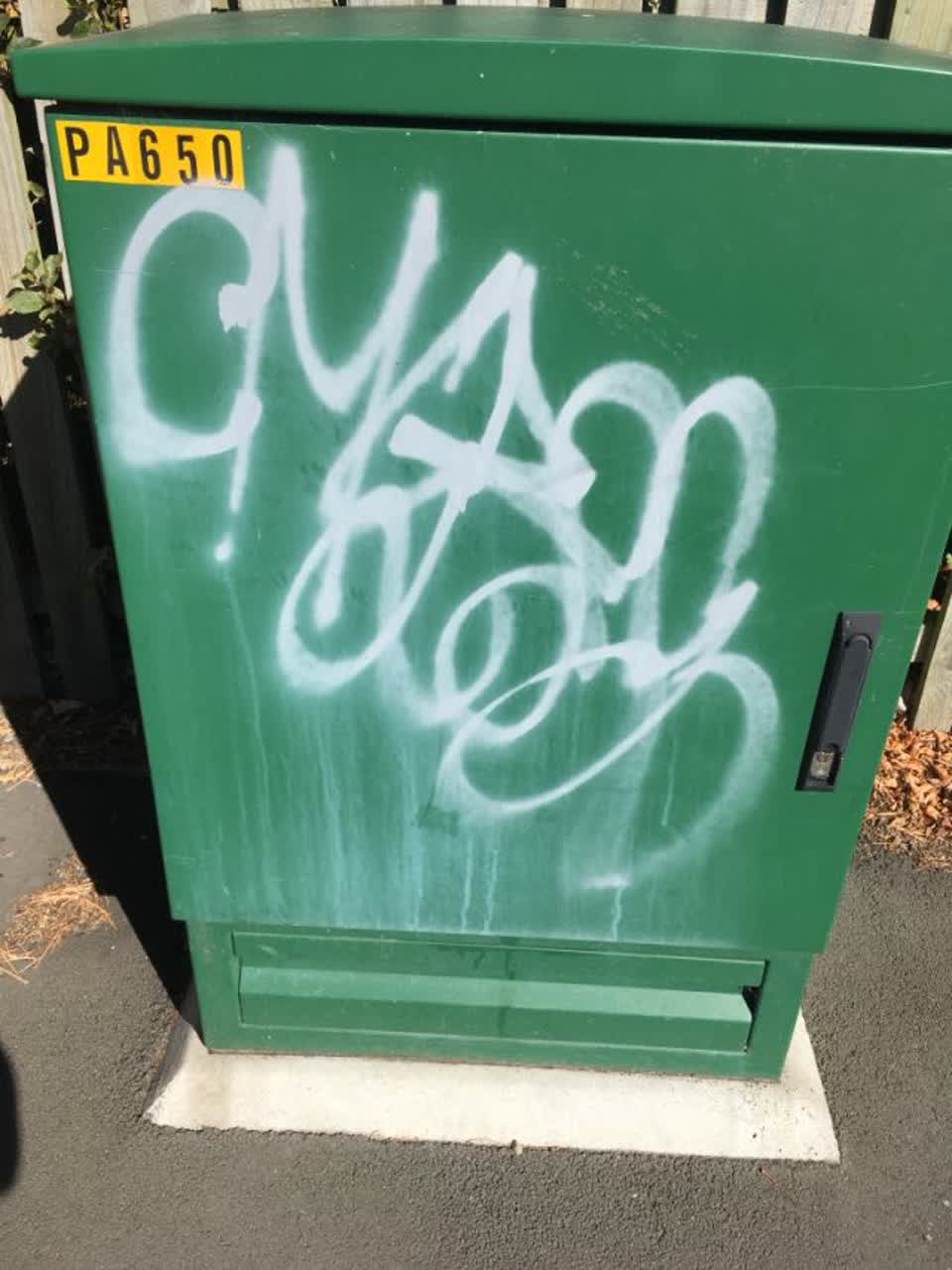The photograph attached to this graffiti report